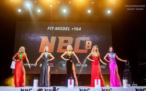 FIT-MODEL +164 (2 раунд)